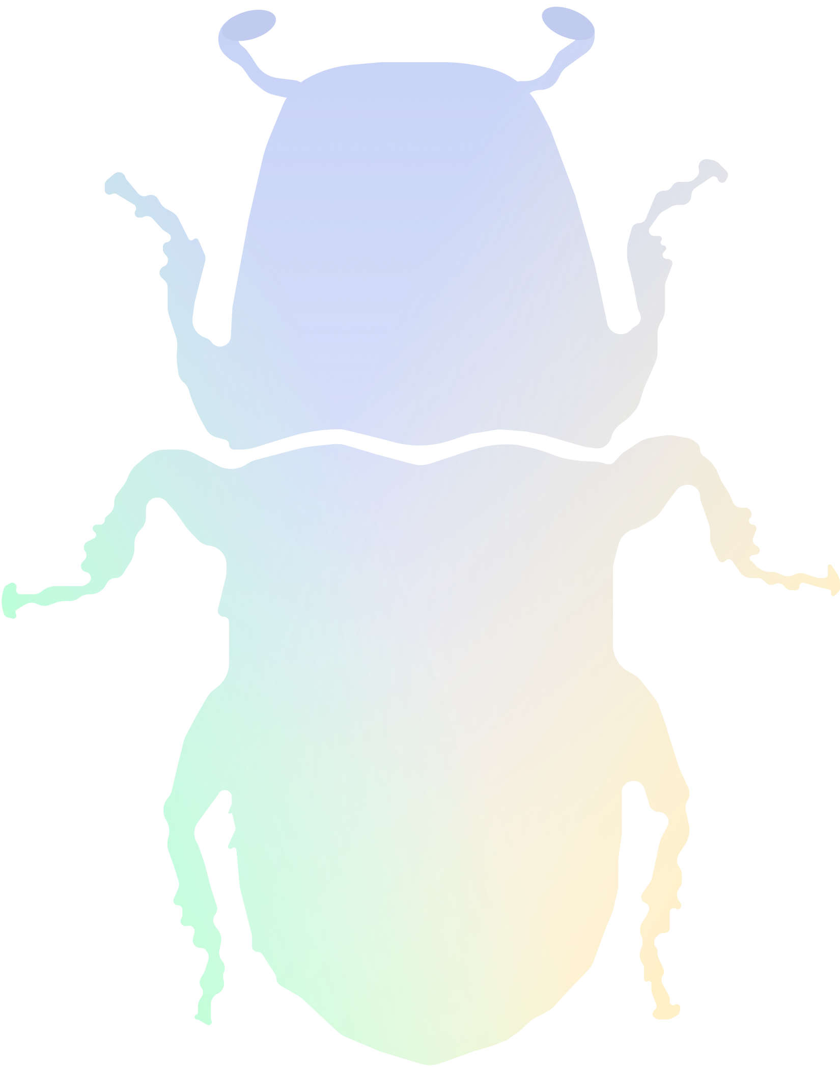 beetle